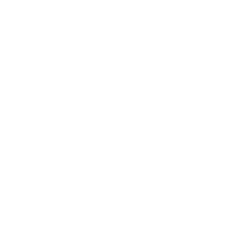 Widget Icon